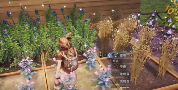 荒原曙光雪莲怎么获取 荒原曙光雪莲怎么获取