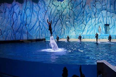 珠海度假网app下载最新版