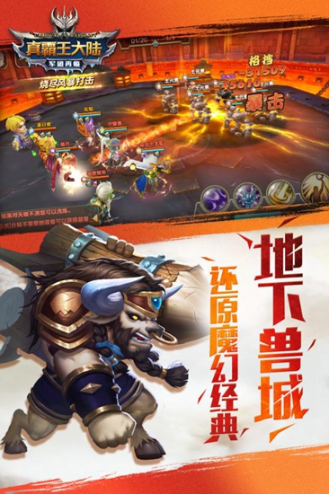 真霸王大陆公益服折扣版
