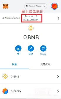选择BSC网络截图
