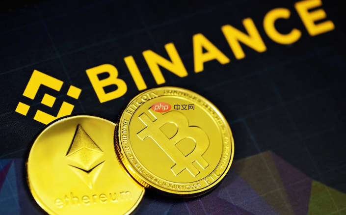 币安登录界面示意图