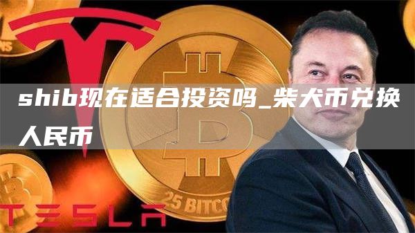 shib现在适合投资吗 柴犬币兑换人民币