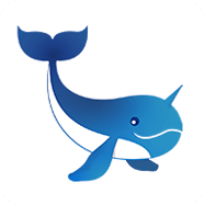 次元岛2025安卓版