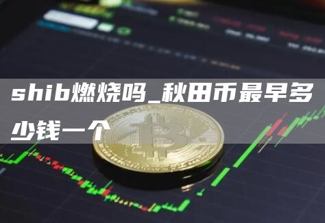 shib燃烧吗 秋田币最早多少钱一个