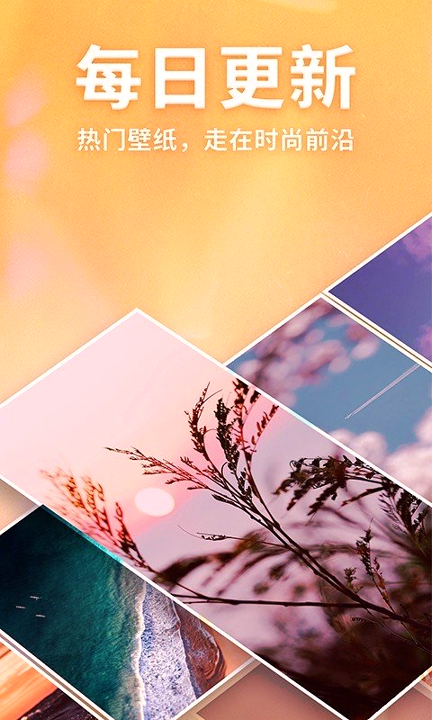 灵猫壁纸安卓最新下载