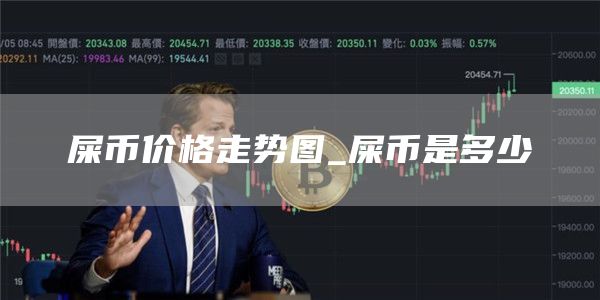 屎币价格走势图 屎币是多少钱