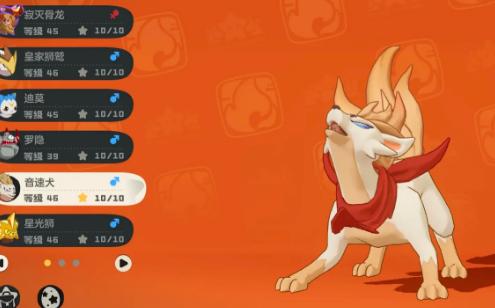 洛克王国世界多少满级