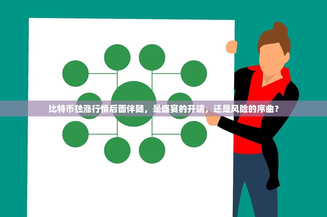 比特币独涨行情后面伴随的是什么