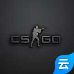 csgo云游戏版
