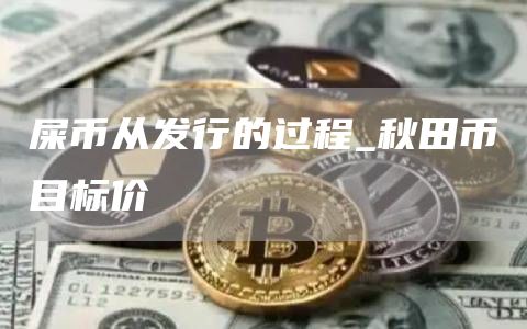 屎币从发行的过程 秋田币目标价