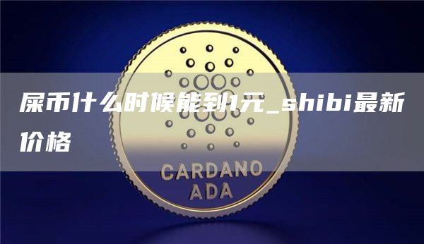 屎币什么时候能到1元 shibi最新价格