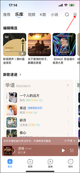 桌面歌词设置教程配图1