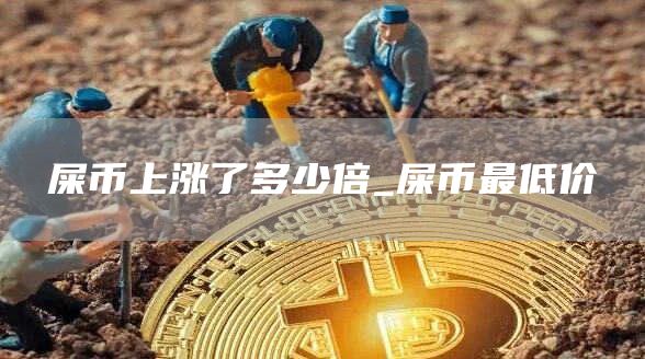 屎币上涨了多少倍 屎币最低价