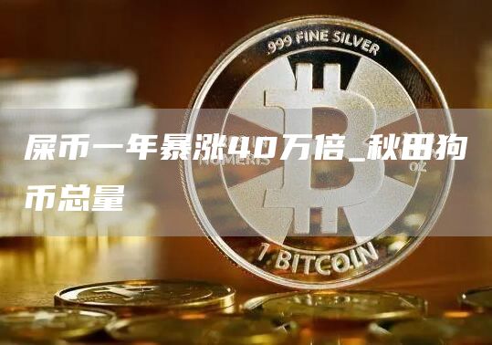 屎币一年暴涨40万倍 秋田狗币总量