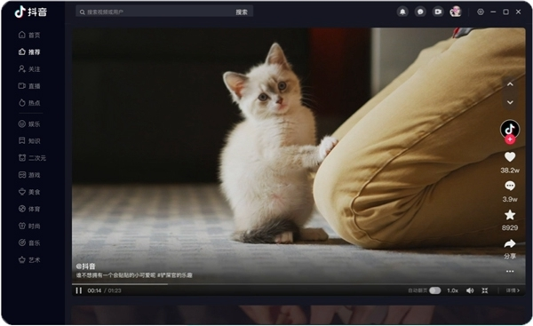 抖音车机版图片