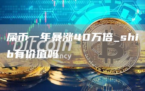 屎币一年暴涨40万倍 shib有价值吗