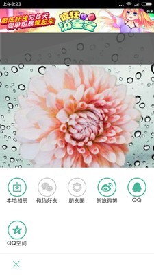 层层抠图2026安卓版