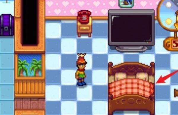 星露谷物语怎么生第二个孩子