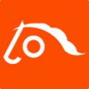 友骑天下下载2026版