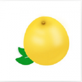 黄柚水印相机下载安装2026版本