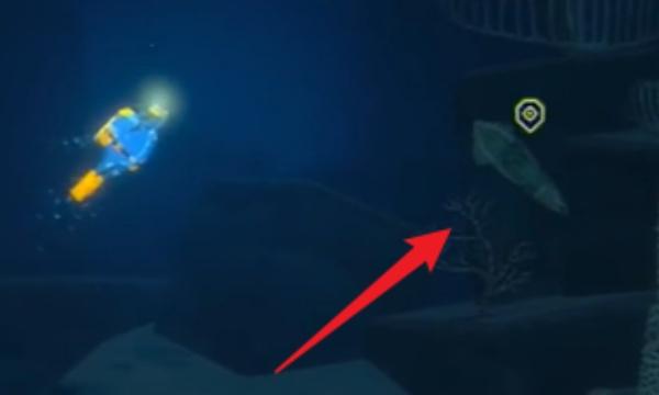 潜水员戴夫幽灵毒鱿鱼怎么抓