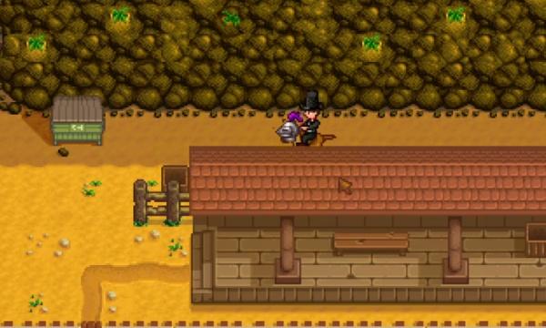 星露谷物语隐藏山洞怎么开启 隐藏山洞开启方法