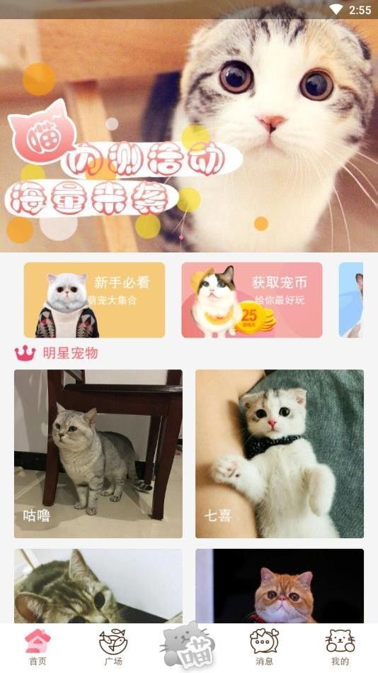 猫咪汇最新2026安卓下载