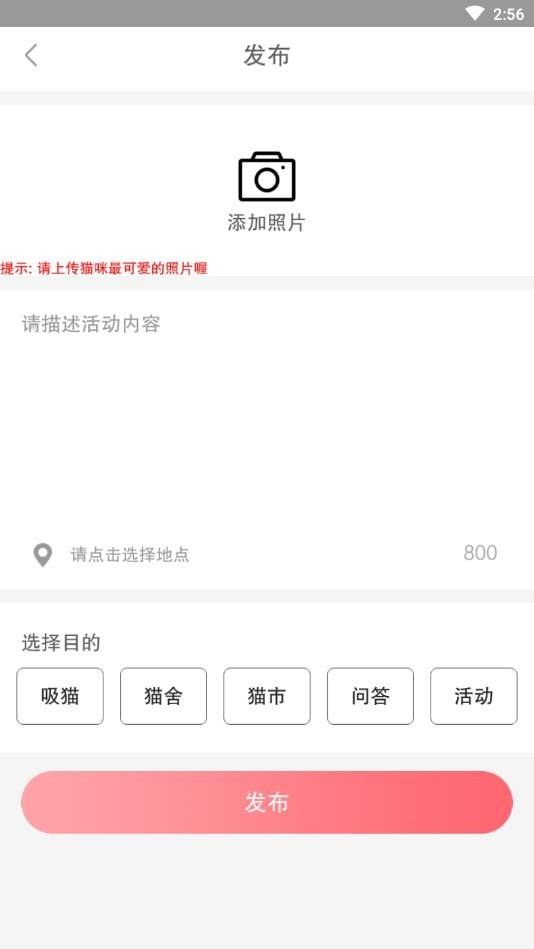 猫咪汇最新2026安卓下载