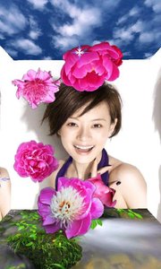 3d电子相册下载2026