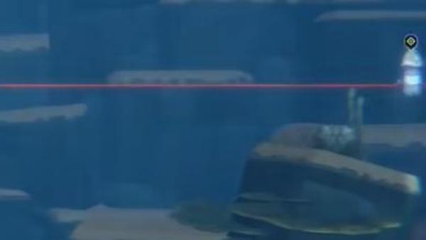 潜水员戴夫魔法水母怎么抓