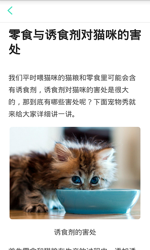 猫咪管家安卓版app