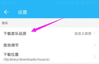 dj音乐库下载音质调整教程图片3