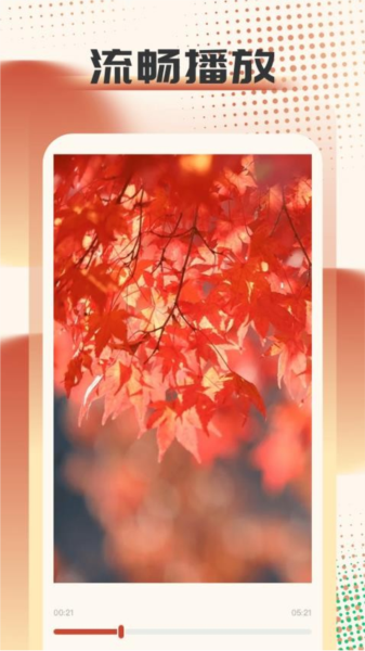 疾风视频播放器最新安卓2026下载