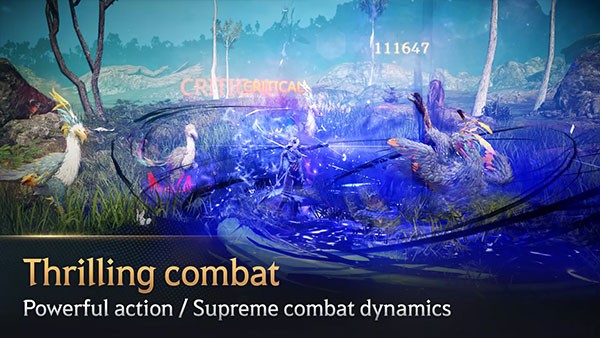 黑色沙漠手机版