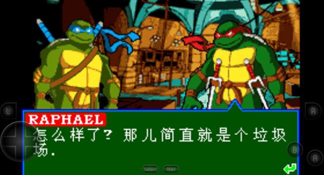忍者神龟2007