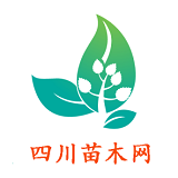 四川苗木网2026安卓最新版