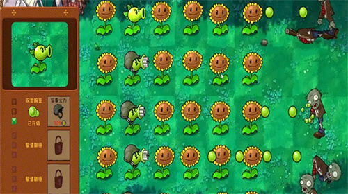 植物大战僵尸共生版