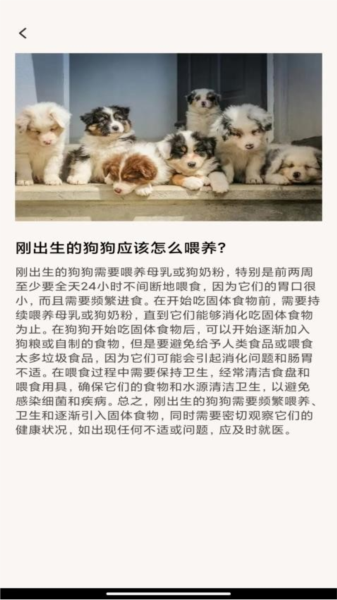 萌宠乐多多最新安卓2026下载