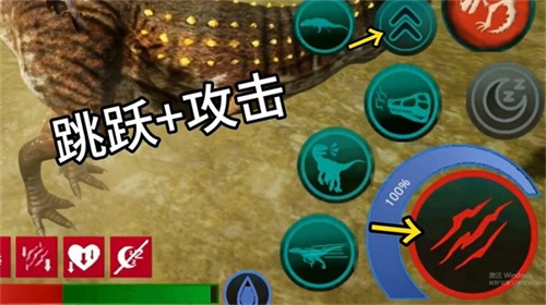 诅咒之岛国际服