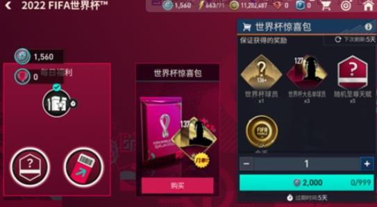 FIFA世界杯