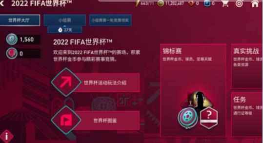 FIFA世界杯
