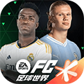 FIFA世界杯
