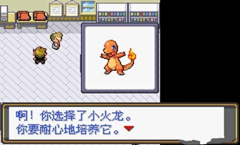 口袋妖怪绿宝石随机版