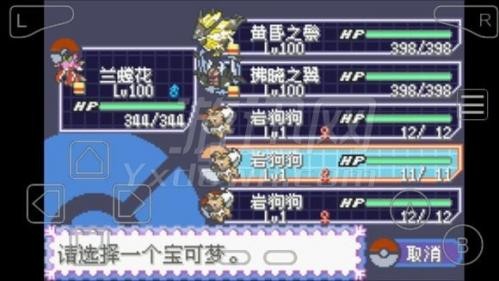 口袋妖怪绿宝石随机版