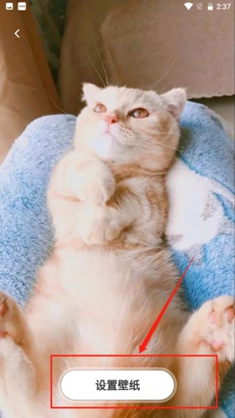 如何设置壁纸配图2