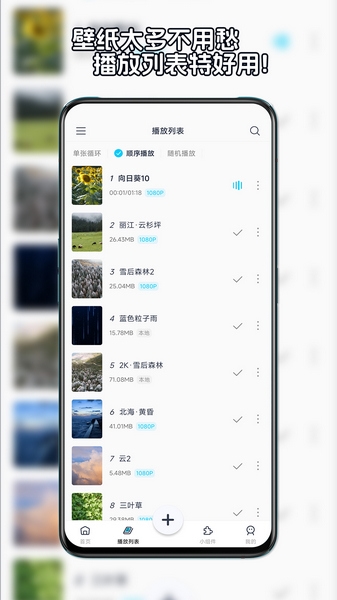 星咩视频壁纸图片